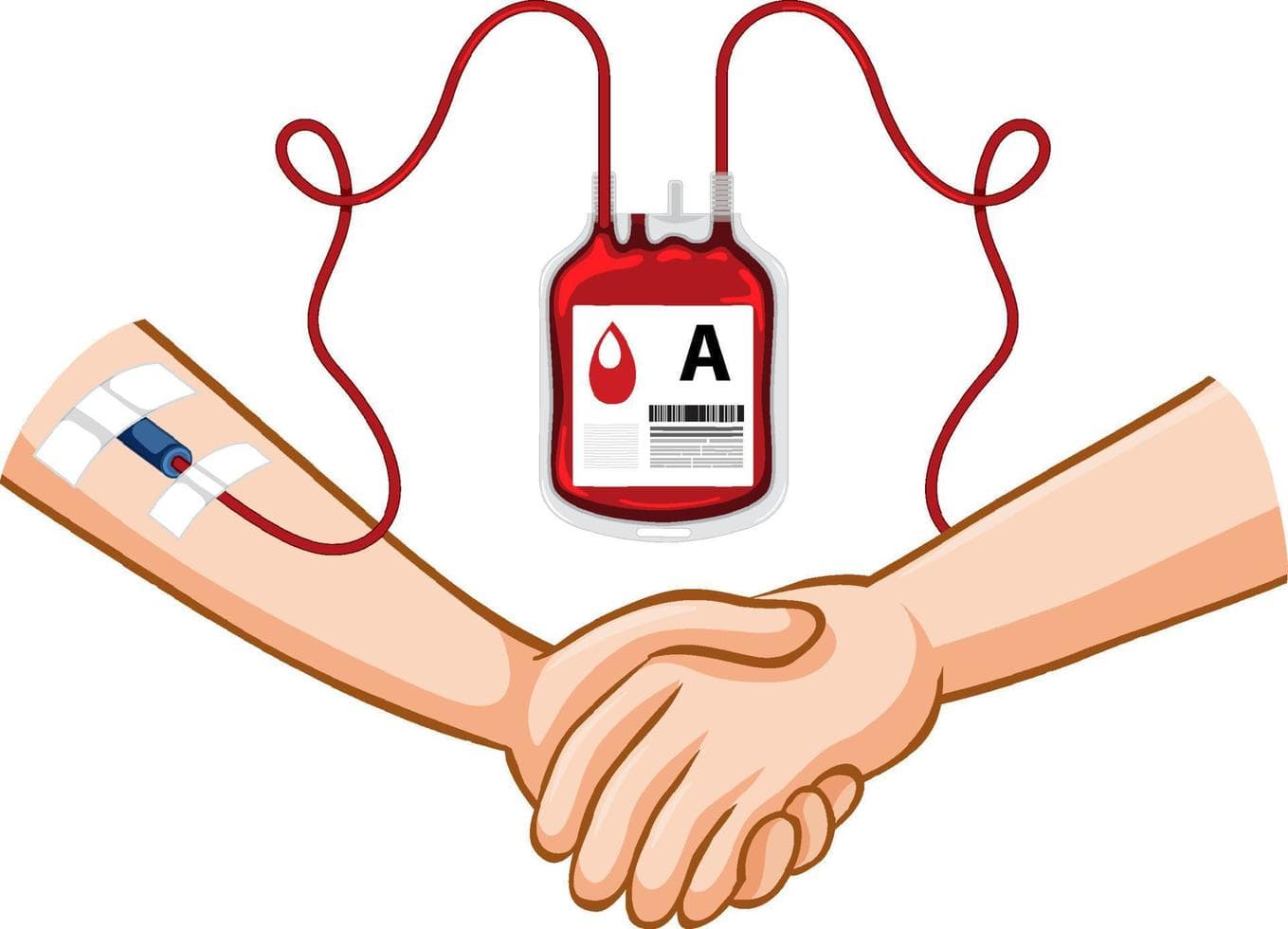 Blood Donation Project